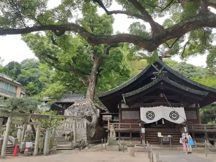 艮神社の本殿・本堂