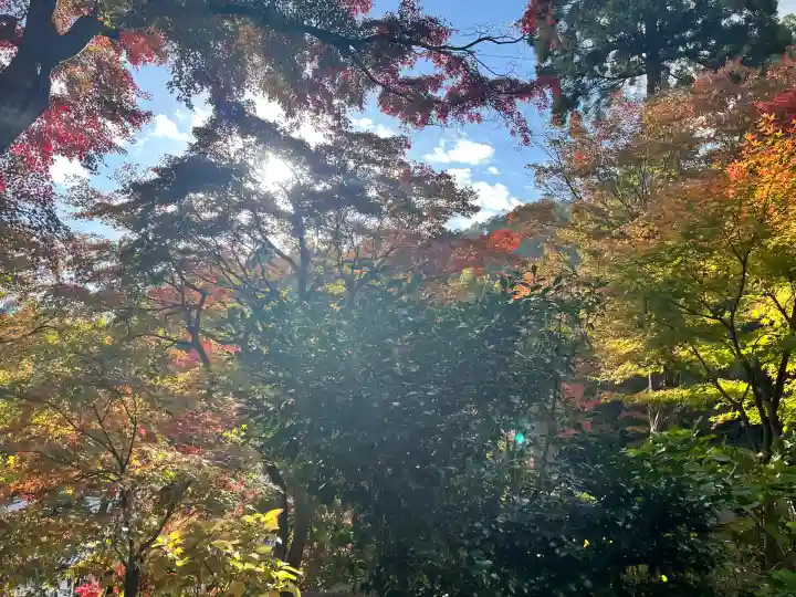 柳谷観音 楊谷寺(京都府)