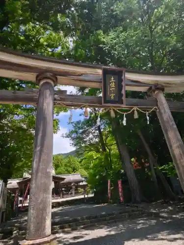 土佐神社の{uncategorized: "未分類", other: "その他", undefined: "問題あり", building: "その他建物", grave: "お墓", sacred_gate: "鳥居", guardian: "狛犬", statue: "像", buddha: "仏像", history: "歴史", nature: "自然", garden: "庭園", animal: "動物", pagoda: "塔", temizu: "手水舎", mountain_gate: "山門・神門", sanctuary: "本殿・本堂", subordinate: "末社・摂社", art: "芸術", scenery: "景色", jizo: "地蔵", ema: "絵馬", goshuin: "御朱印", omikuji: "おみくじ", items: "授与品その他", amulet: "お守り", goshuincho: "御朱印帳", eats: "食事", festival: "お祭り", votive_dance: "神楽", shichigosan: "七五三参", wedding: "結婚式", experience: "体験その他", initially: "初詣", around: "周辺", anti_infection: "感染症対策"}