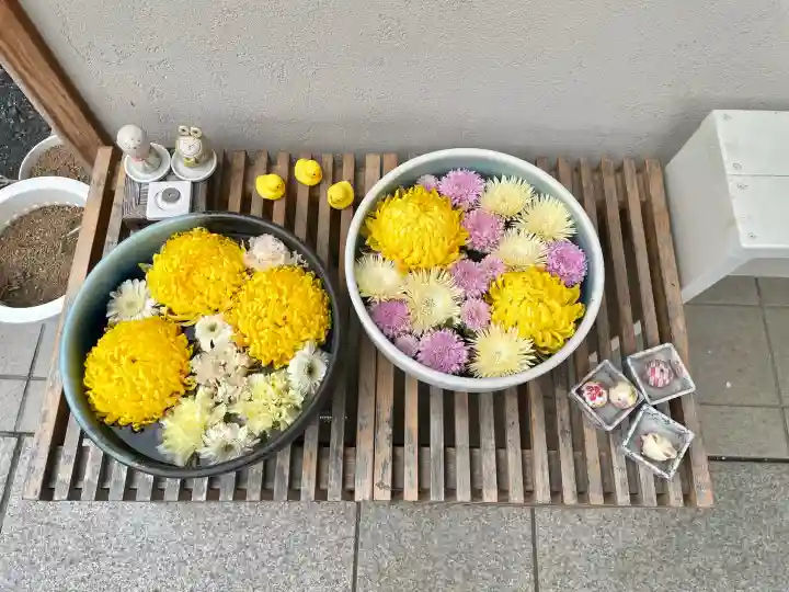 法輪寺の{uncategorized: "未分類", other: "その他", undefined: "問題あり", building: "その他建物", grave: "お墓", sacred_gate: "鳥居", guardian: "狛犬", statue: "像", buddha: "仏像", history: "歴史", nature: "自然", garden: "庭園", animal: "動物", pagoda: "塔", temizu: "手水舎", mountain_gate: "山門・神門", sanctuary: "本殿・本堂", subordinate: "末社・摂社", art: "芸術", scenery: "景色", jizo: "地蔵", ema: "絵馬", goshuin: "御朱印", omikuji: "おみくじ", items: "授与品その他", amulet: "お守り", goshuincho: "御朱印帳", eats: "食事", festival: "お祭り", votive_dance: "神楽", shichigosan: "七五三参", wedding: "結婚式", experience: "体験その他", initially: "初詣", around: "周辺", anti_infection: "感染症対策"}