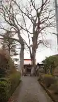 熊野神社の自然