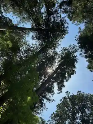 多賀大社(滋賀県)