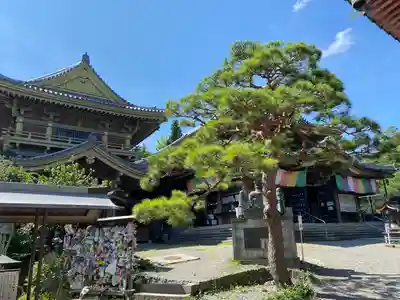 善光寺大勧進(長野県)