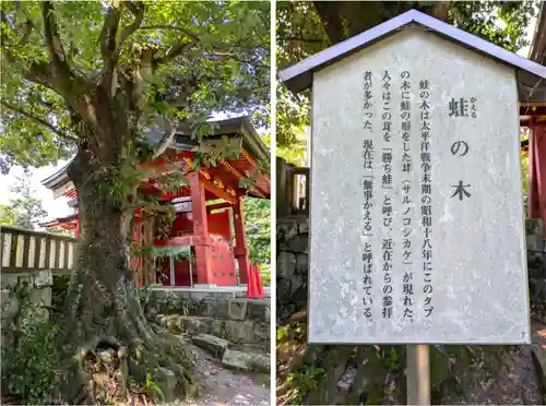 一之宮貫前神社(群馬県)