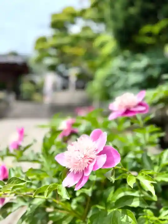 照光寺(長野県)