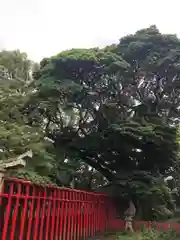 八阪神社(山口県)