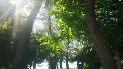 若宮神明社のその他建物