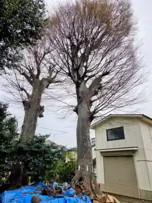 石明神社(東京都)