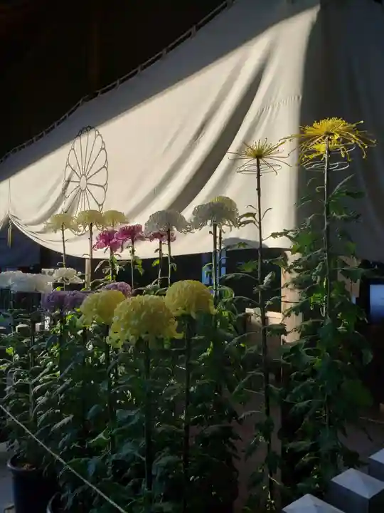 阿佐ヶ谷神明宮(東京都)