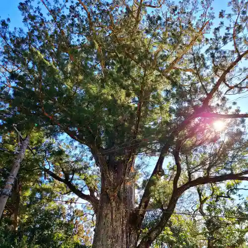 武速神社(静岡県)