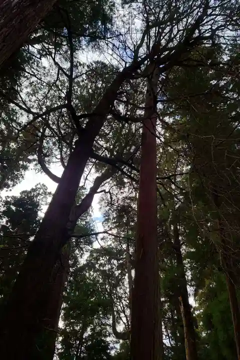 高千穂神社(宮崎県)