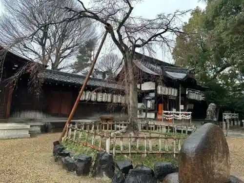 縣神社の自然