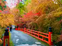 今熊野観音寺(京都府)