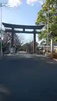 愛知縣護國神社の鳥居