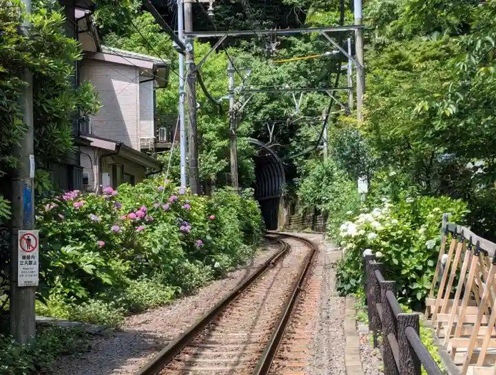 御霊神社の周辺