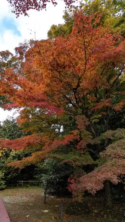 霊鑑寺門跡(京都府)
