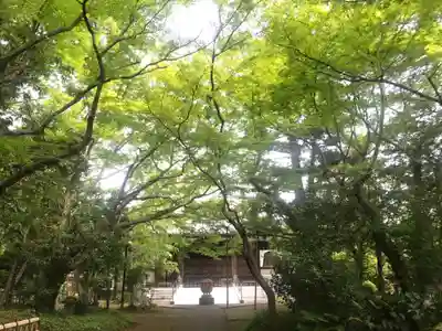 大正寺の本殿・本堂