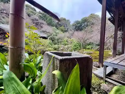 実相院門跡の{uncategorized: "未分類", other: "その他", undefined: "問題あり", building: "その他建物", grave: "お墓", sacred_gate: "鳥居", guardian: "狛犬", statue: "像", buddha: "仏像", history: "歴史", nature: "自然", garden: "庭園", animal: "動物", pagoda: "塔", temizu: "手水舎", mountain_gate: "山門・神門", sanctuary: "本殿・本堂", subordinate: "末社・摂社", art: "芸術", scenery: "景色", jizo: "地蔵", ema: "絵馬", goshuin: "御朱印", omikuji: "おみくじ", items: "授与品その他", amulet: "お守り", goshuincho: "御朱印帳", eats: "食事", festival: "お祭り", votive_dance: "神楽", shichigosan: "七五三参", wedding: "結婚式", experience: "体験その他", initially: "初詣", around: "周辺", anti_infection: "感染症対策"}