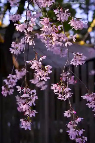 伊勢山皇大神宮(神奈川県)