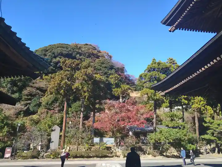 建長寺 半僧坊(神奈川県)