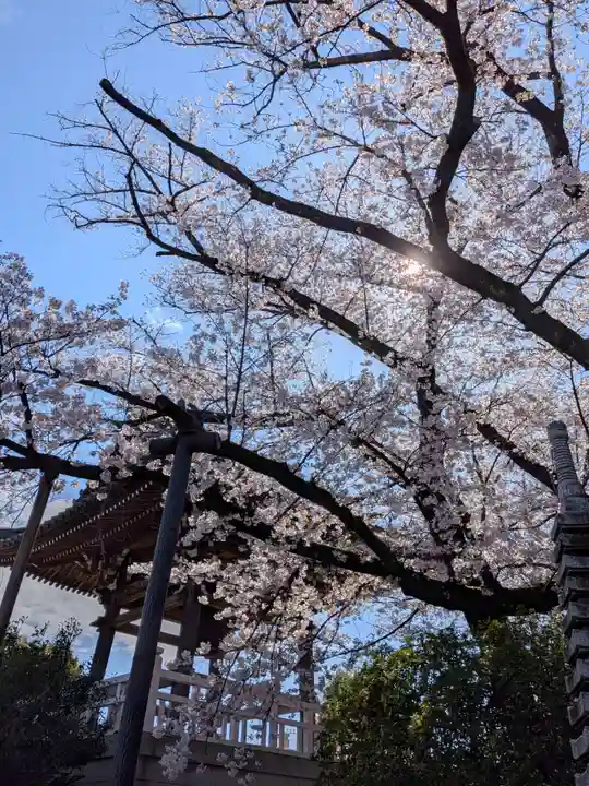 福蔵院(東京都)