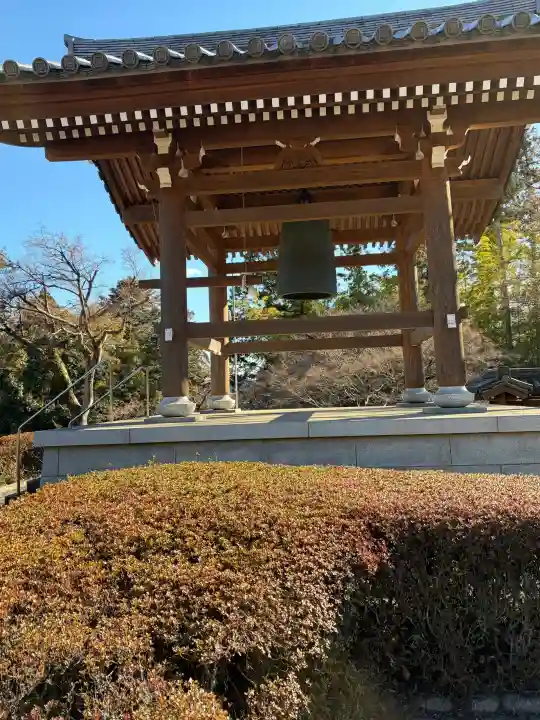 能仁寺の{uncategorized: "未分類", other: "その他", undefined: "問題あり", building: "その他建物", grave: "お墓", sacred_gate: "鳥居", guardian: "狛犬", statue: "像", buddha: "仏像", history: "歴史", nature: "自然", garden: "庭園", animal: "動物", pagoda: "塔", temizu: "手水舎", mountain_gate: "山門・神門", sanctuary: "本殿・本堂", subordinate: "末社・摂社", art: "芸術", scenery: "景色", jizo: "地蔵", ema: "絵馬", goshuin: "御朱印", omikuji: "おみくじ", items: "授与品その他", amulet: "お守り", goshuincho: "御朱印帳", eats: "食事", festival: "お祭り", votive_dance: "神楽", shichigosan: "七五三参", wedding: "結婚式", experience: "体験その他", initially: "初詣", around: "周辺", anti_infection: "感染症対策"}
