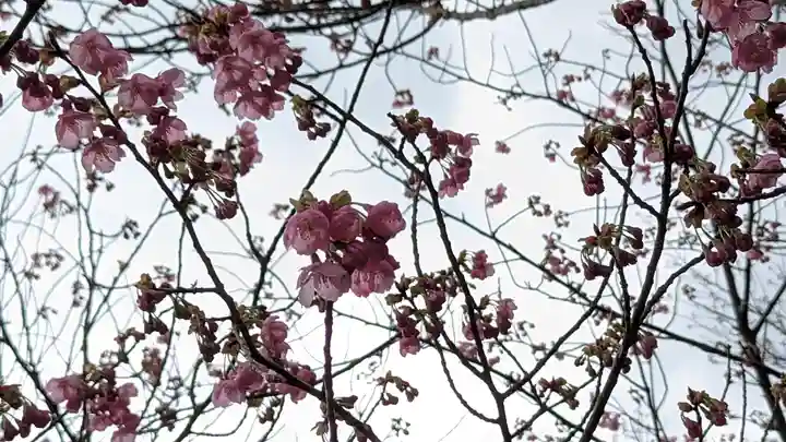 熊野若王子神社(京都府)