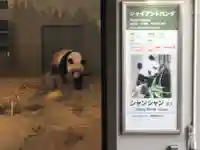 上野東照宮の動物
