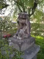 竹生島神社の狛犬