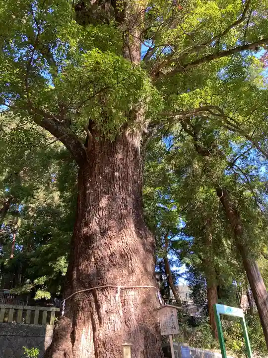 五所神社(神奈川県)