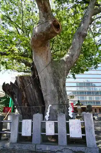 阿邪訶根神社の自然