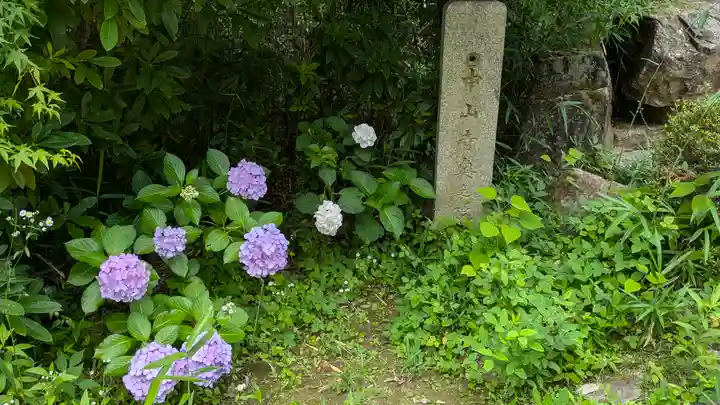 中山寺奥之院(兵庫県)