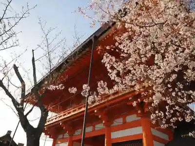 八坂神社(祇園さん)の山門・神門