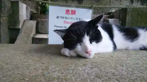 伏見稲荷大社(京都府)