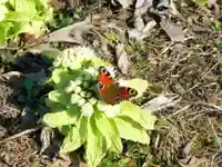 留辺蘂神社の動物
