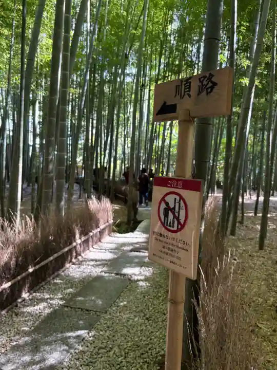 報国寺(神奈川県)