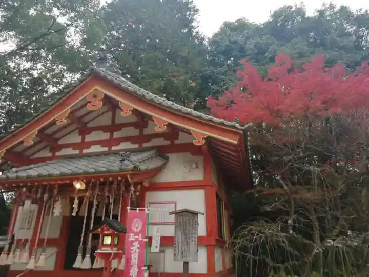 天開稲荷社の本殿・本堂