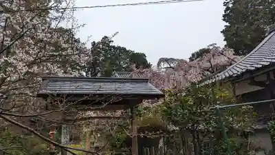 十輪寺(京都府)