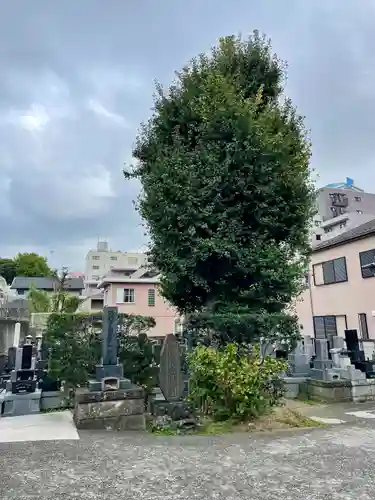 甚行寺(神奈川県)
