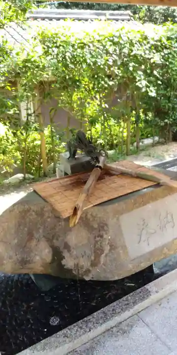 新宮神社の手水舎