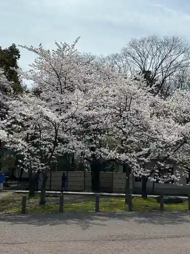氣比神宮(福井県)
