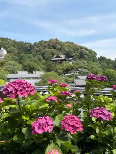 長谷寺(奈良県)
