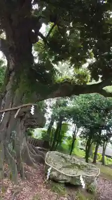 新日吉神宮のその他建物