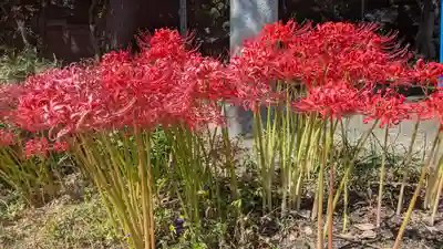水主神社・樺井月神社・衣縫神社(京都府)