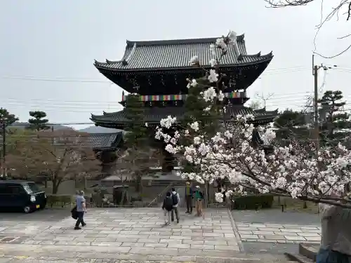 くろ谷 金戒光明寺の{uncategorized: "未分類", other: "その他", undefined: "問題あり", building: "その他建物", grave: "お墓", sacred_gate: "鳥居", guardian: "狛犬", statue: "像", buddha: "仏像", history: "歴史", nature: "自然", garden: "庭園", animal: "動物", pagoda: "塔", temizu: "手水舎", mountain_gate: "山門・神門", sanctuary: "本殿・本堂", subordinate: "末社・摂社", art: "芸術", scenery: "景色", jizo: "地蔵", ema: "絵馬", goshuin: "御朱印", omikuji: "おみくじ", items: "授与品その他", amulet: "お守り", goshuincho: "御朱印帳", eats: "食事", festival: "お祭り", votive_dance: "神楽", shichigosan: "七五三参", wedding: "結婚式", experience: "体験その他", initially: "初詣", around: "周辺", anti_infection: "感染症対策"}