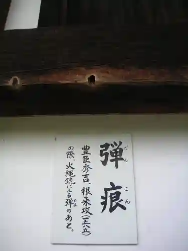 根来寺の歴史