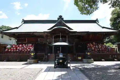 達磨寺(群馬県)