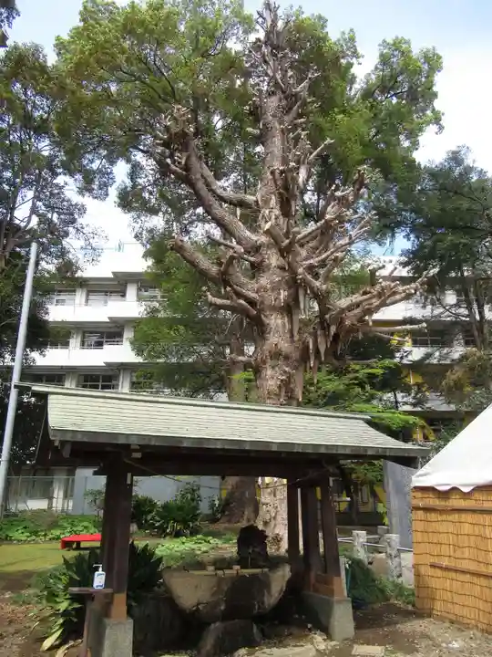 前原御嶽神社(千葉県)