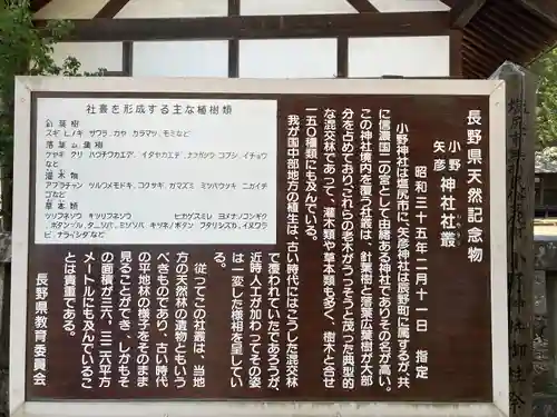 小野神社(長野県)