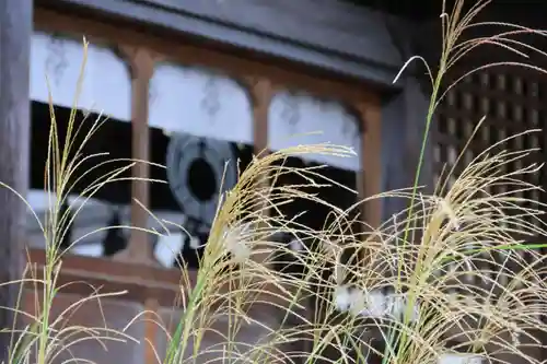 神炊館神社 ⁂奥州須賀川総鎮守⁂の本殿・本堂